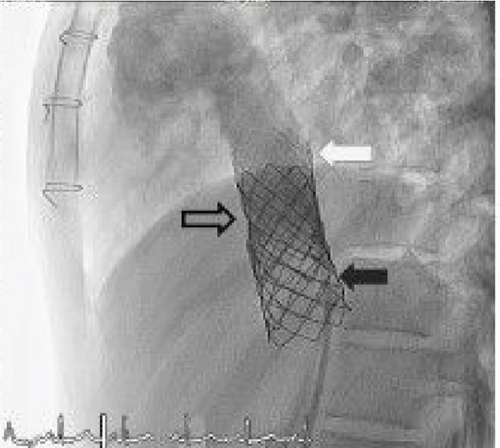 Details are in the caption following the image Details are in the caption following the image