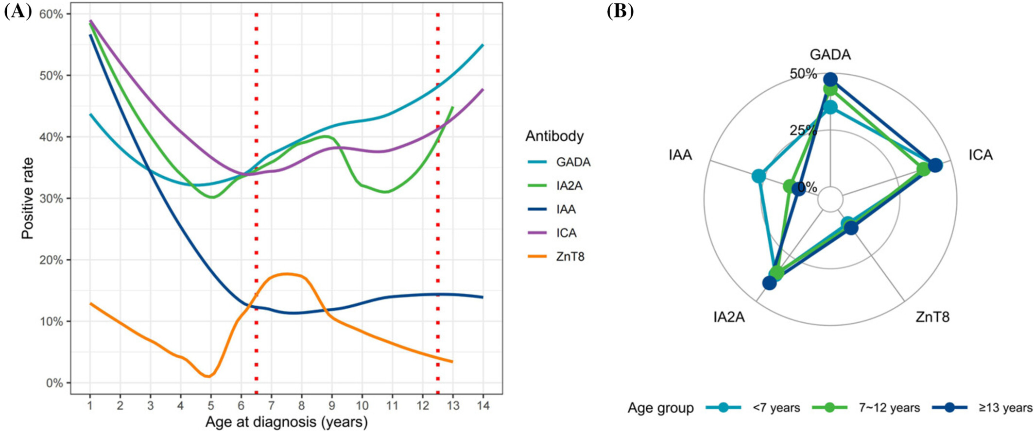 Phenotypic Spectrum at Diagnosis of Age-Related Endotypes of Type 1 Diabetes Mellitus: A Cross-Sectional Study in China