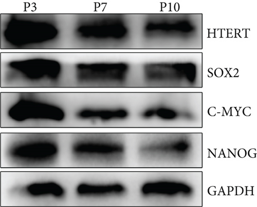 Details are in the caption following the image