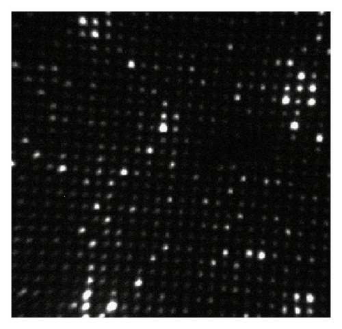 Details are in the caption following the image