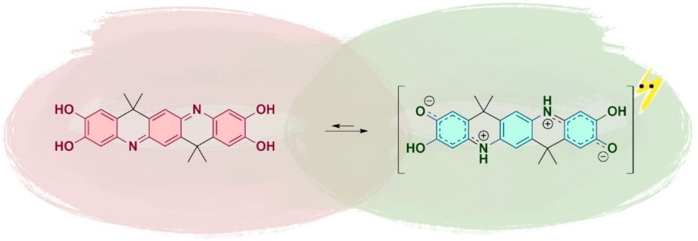Resonance-Assisted Self-Doping in Robust Open-Shell Ladder-Type Oligoaniline Analogues