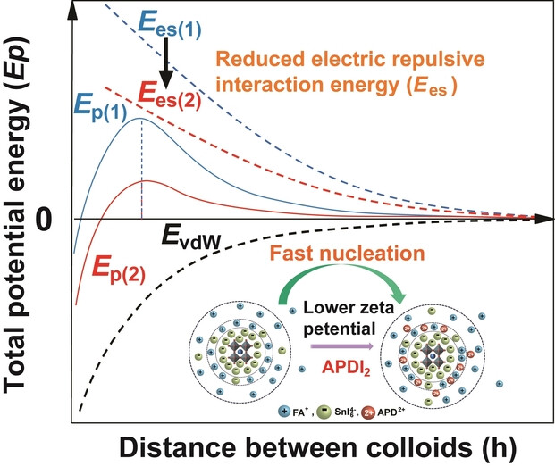 Colloidal Zeta Potential Modulation as a Handle to Control the Crystallization Kinetics of Tin Halide Perovskites for Photovoltaic Applications