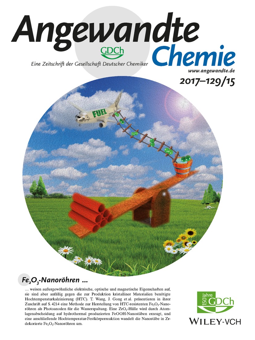 Innenrücktitelbild: Surviving High-Temperature Calcination: ZrO2-Induced Hematite Nanotubes for Photoelectrochemical Water Oxidation (Angew. Chem. 15/2017) Volume 129 Issue 15, 2017