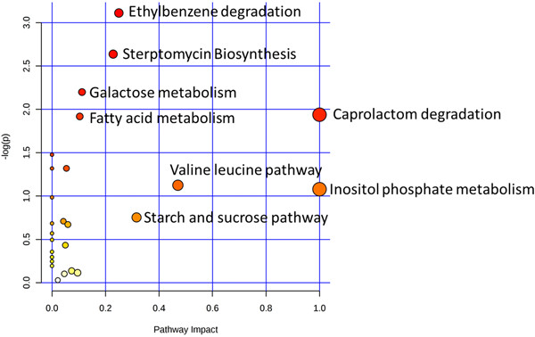 LC-MS/MS-based metabolic profiling of Escherichia coli under heterologous gene expression stress