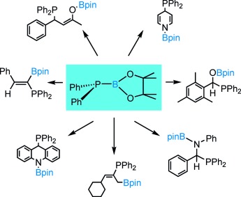 The Phosphinoboration Reaction
