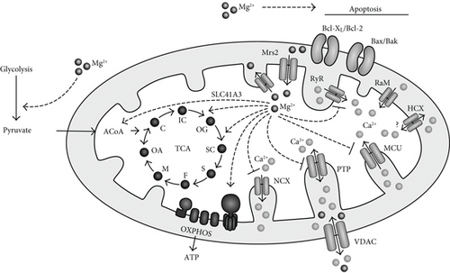 Details are in the caption following the image