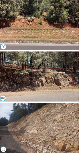 Details are in the caption following the image Details are in the caption following the image