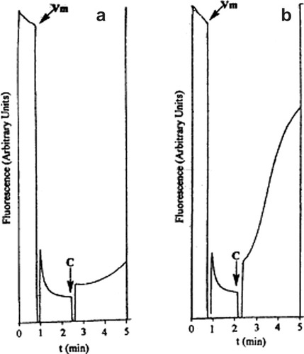 Details are in the caption following the image