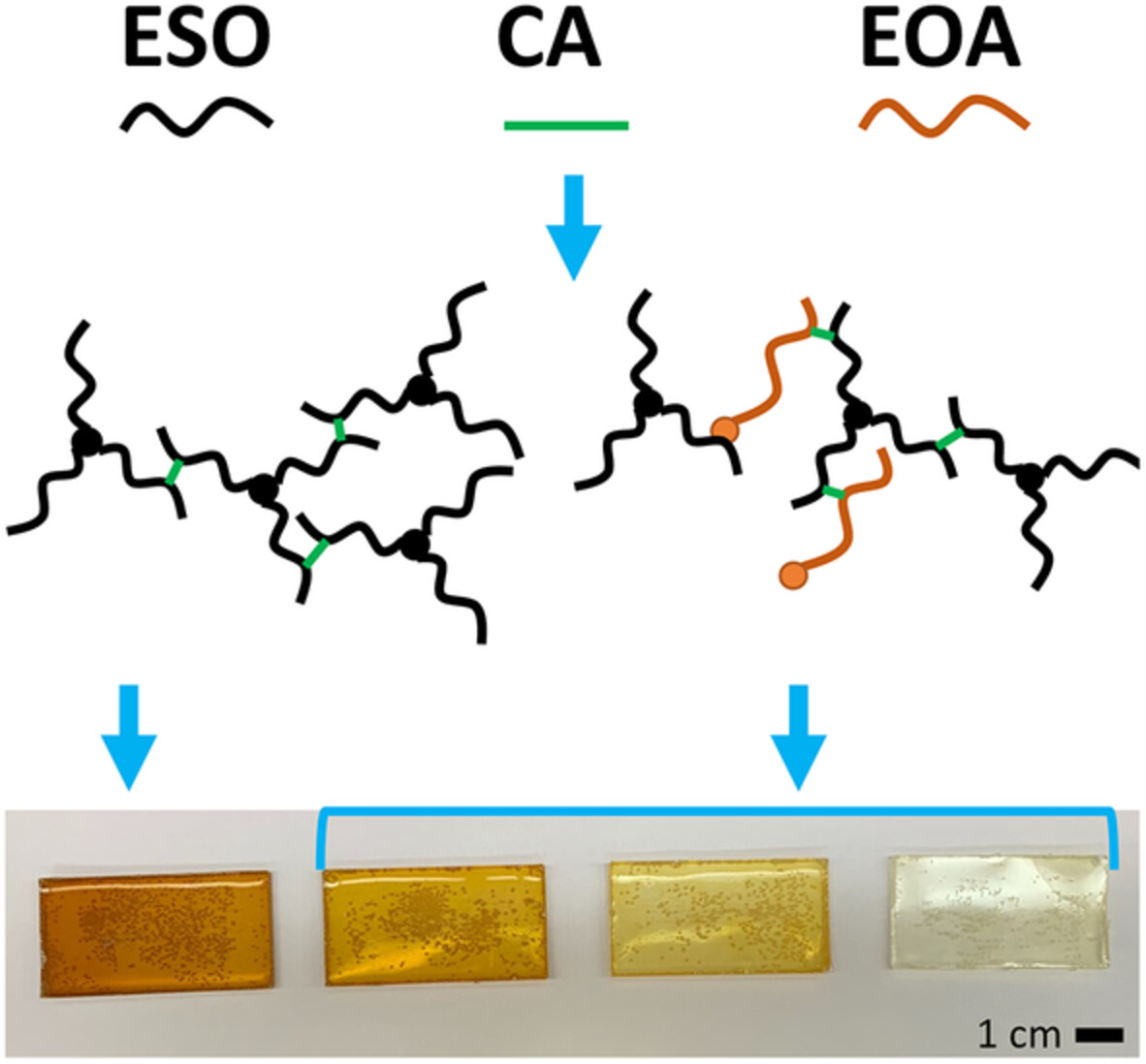 Flexible polymeric biomaterials from epoxidized soybean oil, epoxidized oleic acid, and citric acid as both a hardener and acid catalyst