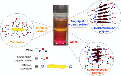 Supramolecular Depolymerization in the Mixture of Two Poor Solvents: Mechanistic Insights and Modulation of Supramolecular Polymerization of Ionic π-Systems