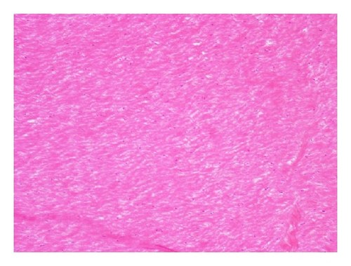 Details are in the caption following the image