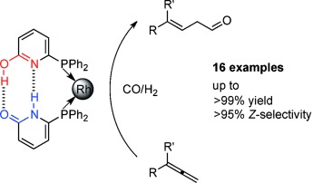 Rhodium-Catalyzed Hydroformylation of 1,1-Disubstituted Allenes Employing the Self-Assembling 6-DPPon System