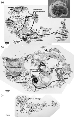Details are in the caption following the image Details are in the caption following the image