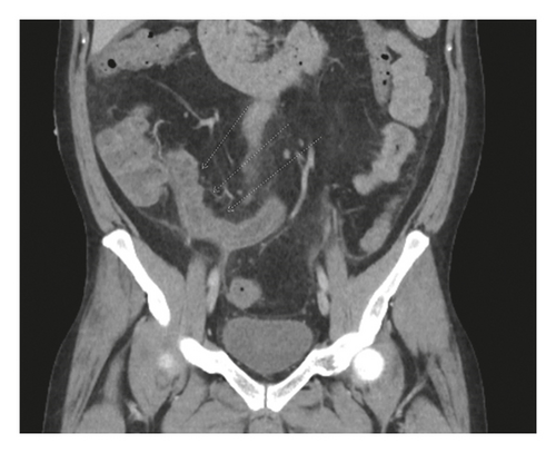 Details are in the caption following the image Details are in the caption following the image