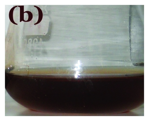 Details are in the caption following the image