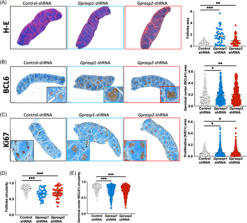 Details are in the caption following the image Details are in the caption following the image