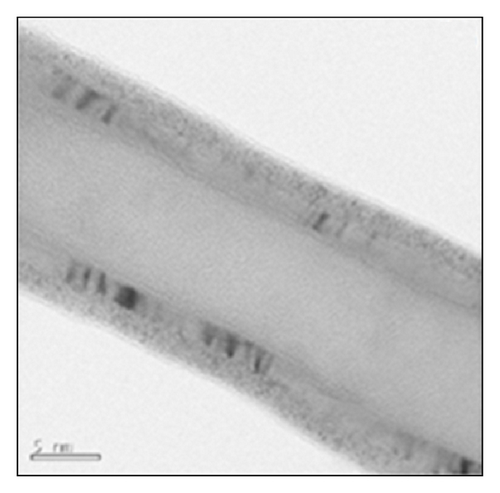 Details are in the caption following the image