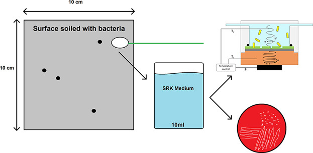 SIP-Based Thermal Detection Platform for the Direct Detection of Bacteria Obtained from a Contaminated Surface