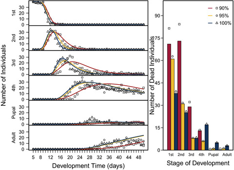 Food quality effects on instar-specific life histories of a holometabolous insect