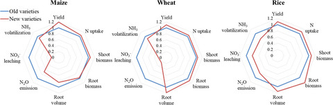 Newer and select maize, wheat, and rice varieties can help mitigate N footprint while producing more grain