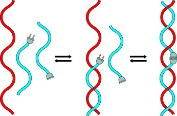 Dynamic and Programmable DNA-Templated Boronic Ester Formation