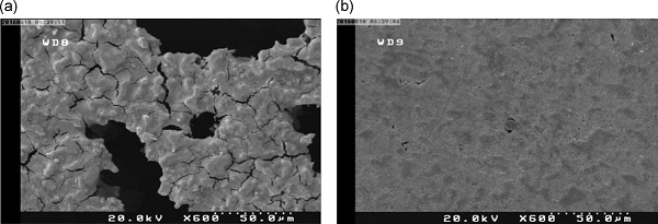 Increase corrosion resistance of mild steel in sulfuric acid and hydrochloric acid solutions by metoclopramide tablet