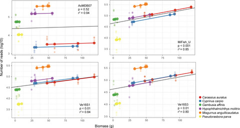 Environmental DNA metabarcoding primers for freshwater fish detection and quantification: In silico and in tanks
