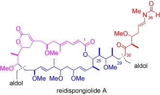 Total Synthesis of (−)-Reidispongiolide A, an Actin-Targeting Marine Macrolide