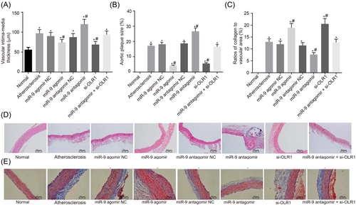 Details are in the caption following the image Details are in the caption following the image