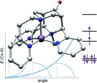Stable Five- and Six-Coordinate Cobalt(III) Complexes with a Pentadentate Bispidine Ligand