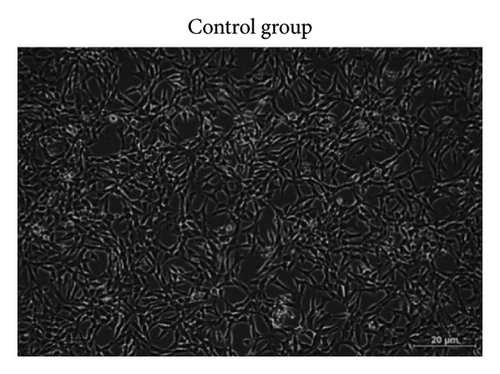 Details are in the caption following the image