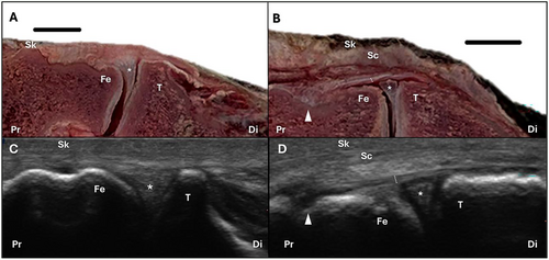 Details are in the caption following the image