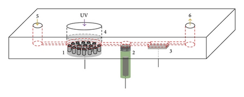 Details are in the caption following the image