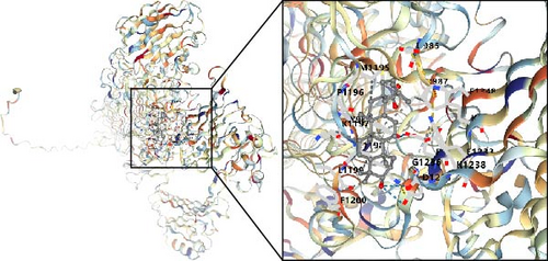 Details are in the caption following the image Details are in the caption following the image