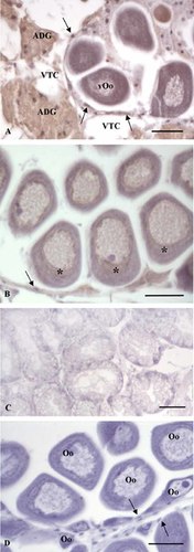 Details are in the caption following the image