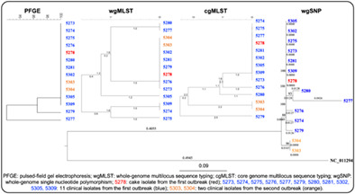 Phenotypic and genotypic characterization of salmonella Enteritidis isolated from two consecutive Food-Poisoning outbreaks in Sichuan, China