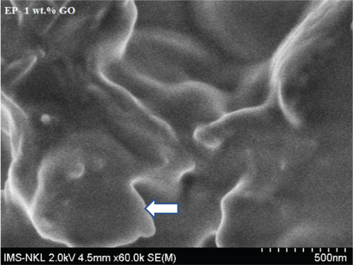 Details are in the caption following the image