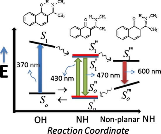 Steady-State Spectroscopy of the 2-(N-methylacetimidoyl)-1-naphthol Molecule