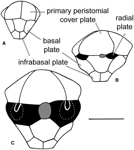 Details are in the caption following the image Details are in the caption following the image