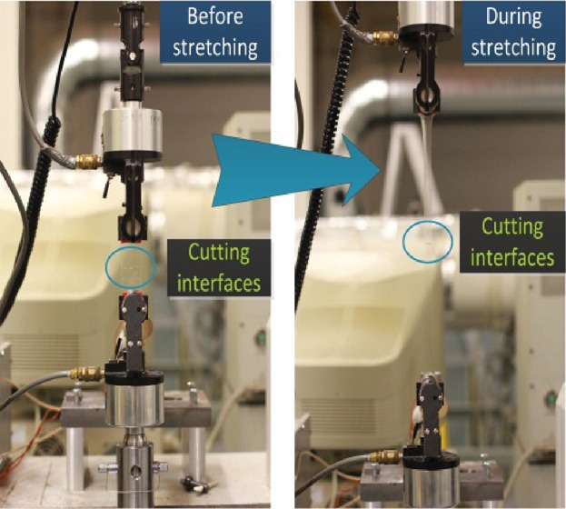 Characterization of Viscoelasticity and Self-Healing Ability of VHB 4910