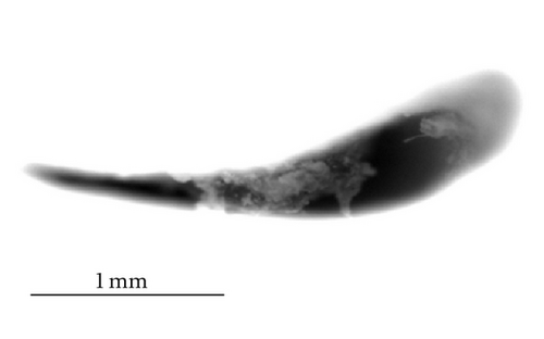 Details are in the caption following the image