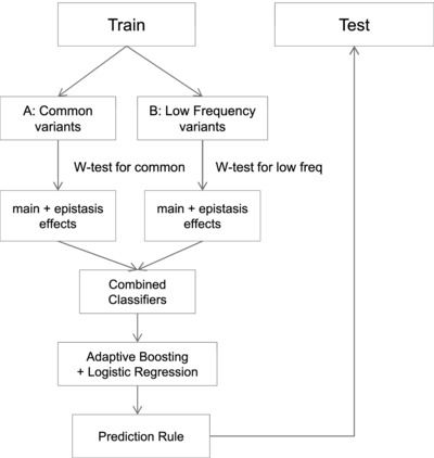 Stratified polygenic risk prediction model with application to CAGI bipolar disorder sequencing data