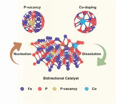 Dual-Defect Engineering of Bidirectional Catalyst for High-Performing Lithium-Sulfur Batteries