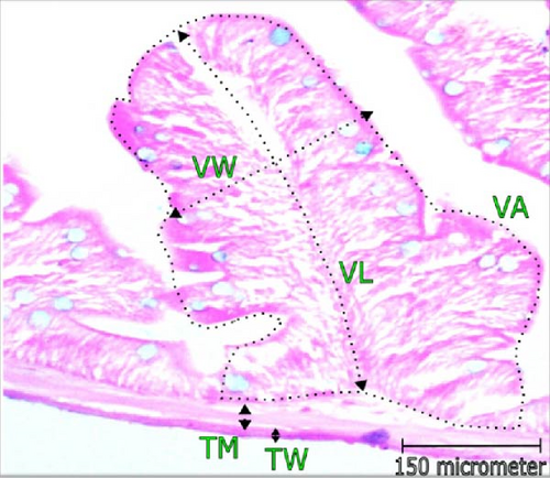 Details are in the caption following the image Details are in the caption following the image
