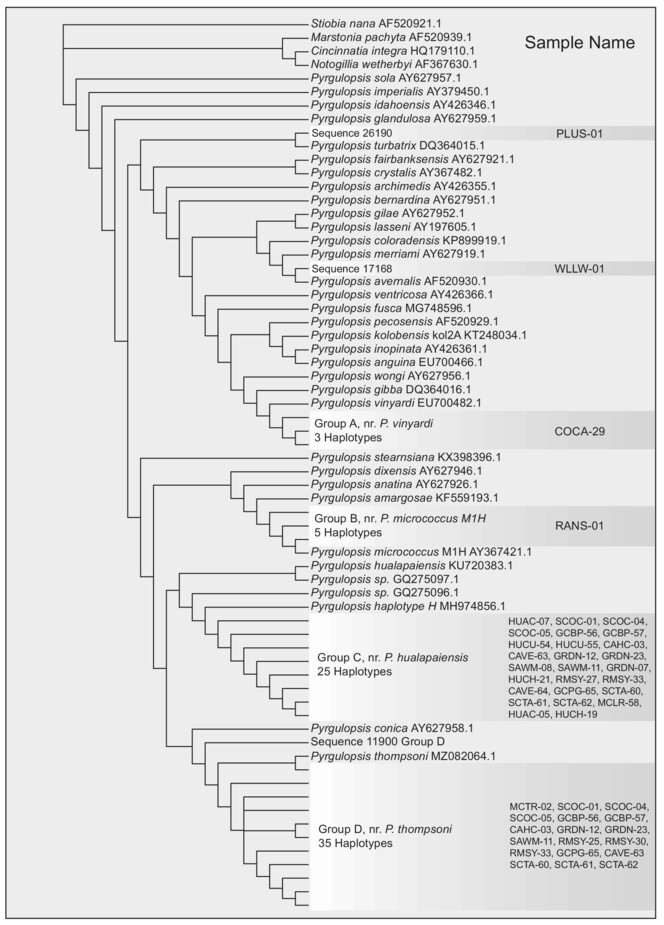 Simultaneous species detection and discovery with environmental DNA metabarcoding: A freshwater mollusk case study