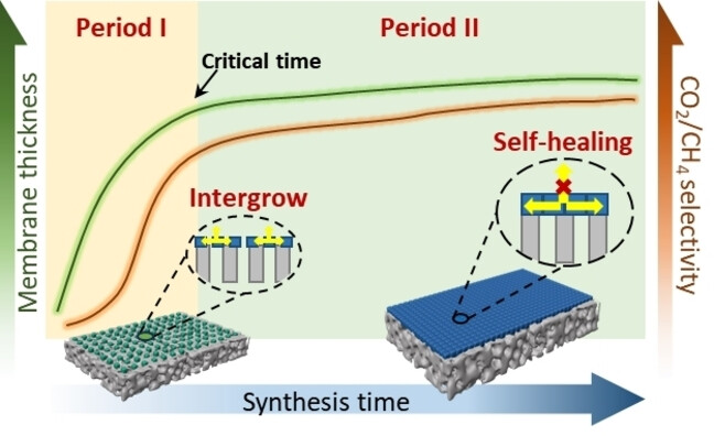 Improved Synthesis of Hollow Fiber SSZ-13 Zeolite Membranes for High-Pressure CO2/CH4 Separation