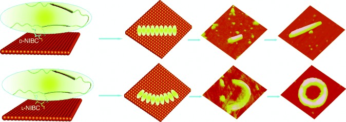 Chirality-Assisted Ring-Like Aggregation of Aβ(1–40) at Liquid–Solid Interfaces: A Stereoselective Two-Step Assembly Process