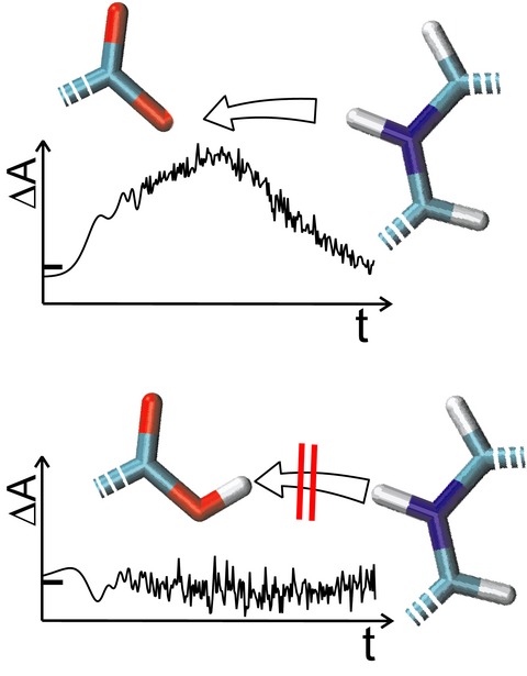 Proteorhodopsin Photocycle Kinetics Between pH 5 and pH 9