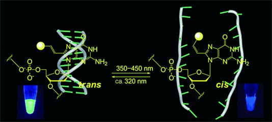 Straightforward and Reversible Photoregulation of Hybridization by Using a Photochromic Nucleoside