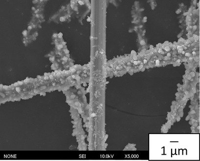 Effect of Anti-Encrustation Additives on Zirconium Molybdate Hydrate